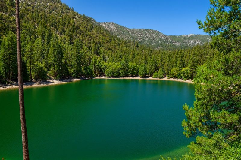 Wrightwood, CA